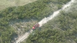 Появились фото с места гигантского лесного пожара в Охинском районе