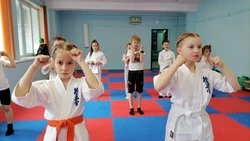 Проект  «Киокусинкай в школу» объединил сотни школьников на Сахалине