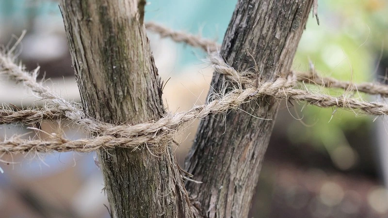 Пьяный мужчина инсценировал самоубийство собутыльника на Сахалине