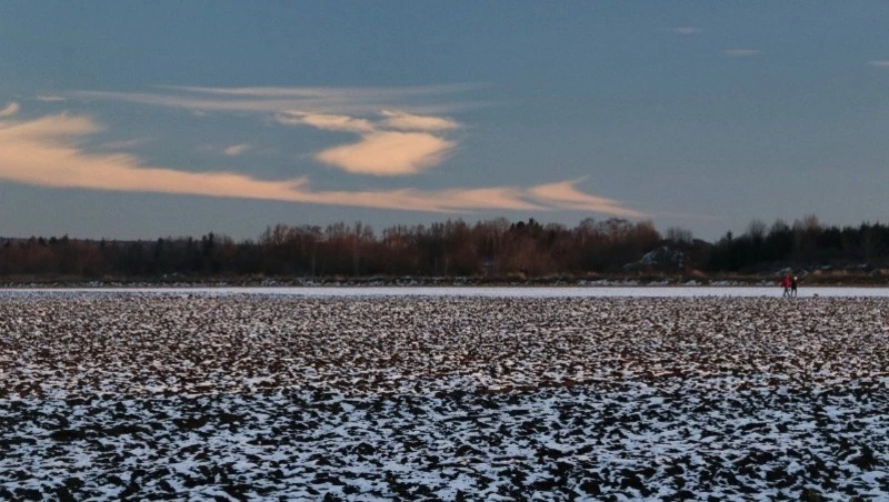 Юрий Трутнев: «Дальневосточный гектар» получили уже более 111 тысяч россиян