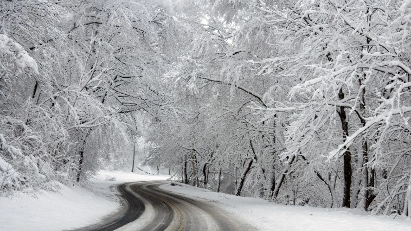 Машина с председателем областной Думы Сахалина попала в ДТП