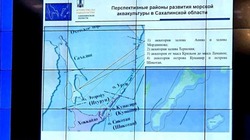 Японская карта с одноцветными Курилами и Хоккайдо лишила работы сахалинского чиновника