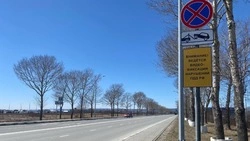 Баннеры с предупреждением о камерах появились на Куропатко в Южно-Сахалинске