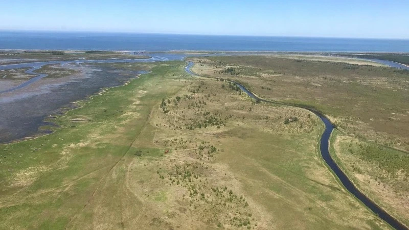 Площадь лесного пожара в Охинском районе выросла до 2000 гектаров