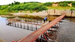 Председатель ассоциации лососевых рыбоводных заводов Сахалинской области: РУЗы на реках необходимы