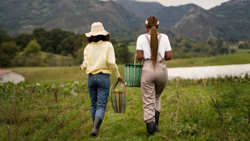 Россияне стали на 29% чаще бронировать загородные дома в регионах с развивающимся агротуризмом