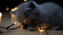 Поликлиника и часть Южно-Сахалинска останутся без света 29 декабря