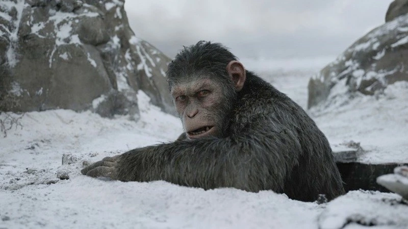 Планету - обезьянам