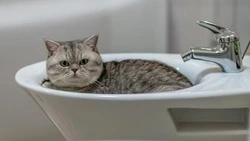 Детский сад и четыре улицы Южно-Сахалинска остались без горячей воды 17 сентября