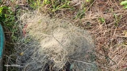 Житель Макаровского района выловил симы на 174 тысячи рублей