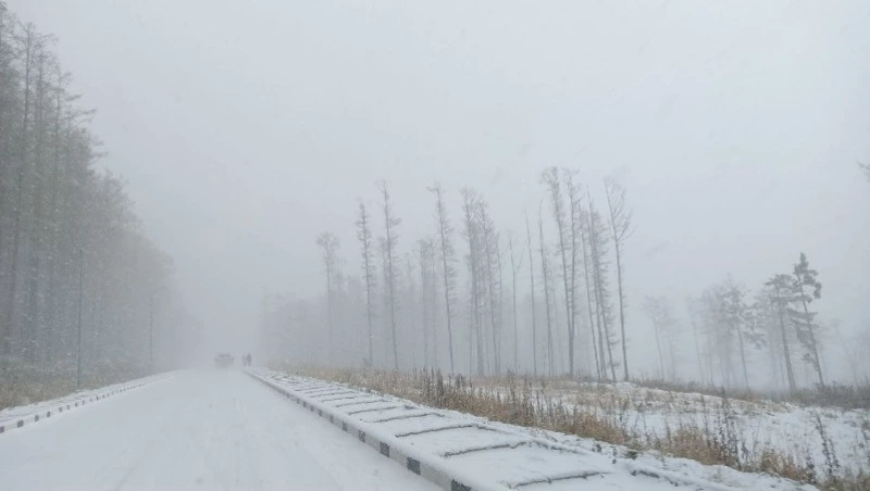 Метель и сильный гололед ожидают на Сахалине 11 ноября