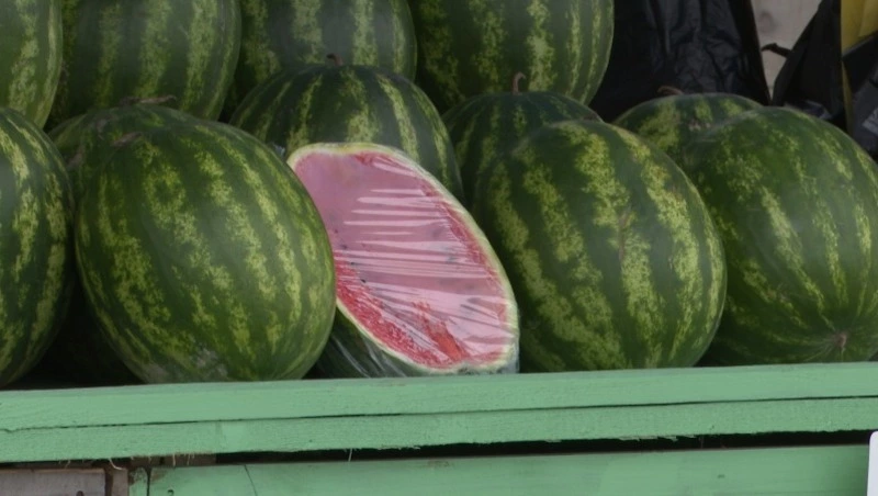 Сезон арбуза: где и как купить качественный продукт