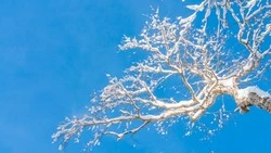 Народные приметы на 24 февраля 2024: что строго запрещено делать на Власия