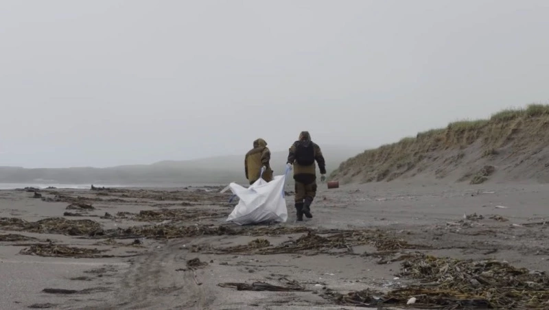 Твори добро: как в Сахалинской области развивают волонтерское движение