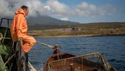 Рыбаки Сахалина ждут 1 сентября и решения своих проблем