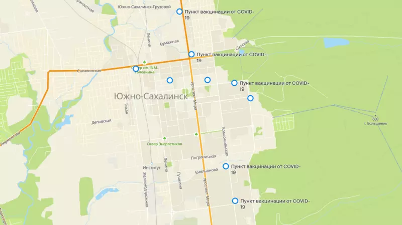 Прививку от ковида сахалинцы поставят с помощью 2ГИС