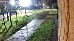 В Охе взяли под стражу гонщика, который сбил насмерть пешехода на зебре 