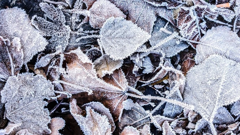 Народные приметы на 15 ноября 2023: что нельзя делать в этот день