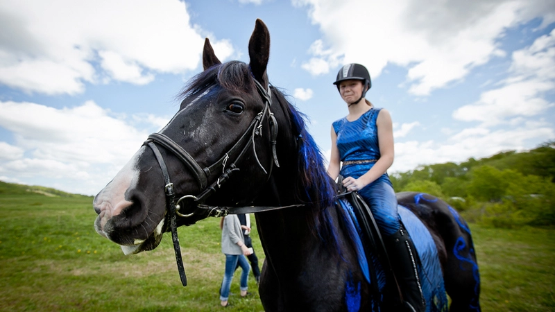 Идеи общественников Анивы вошли в топ-100 лучших практик Фонда президентских грантов