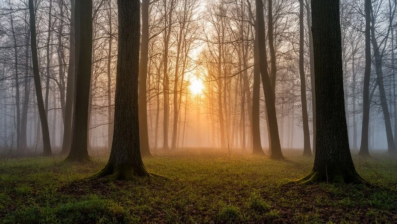 Церковный праздник 23 апреля 2025: что нельзя делать в этот день, приметы 