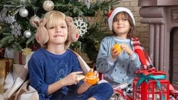 Всероссийская акция «Елка желаний» пройдет в Сахалинской области 