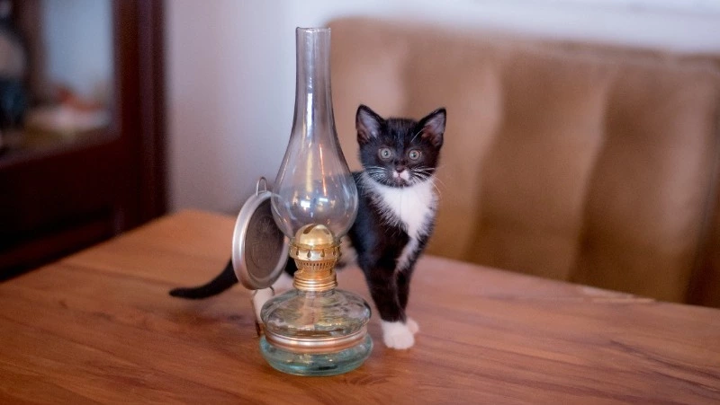 Часть Южно-Сахалинска останется без света 18 марта 