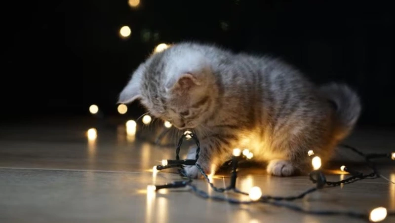 Авария оставила часть Южно-Сахалинска без света 23 декабря 