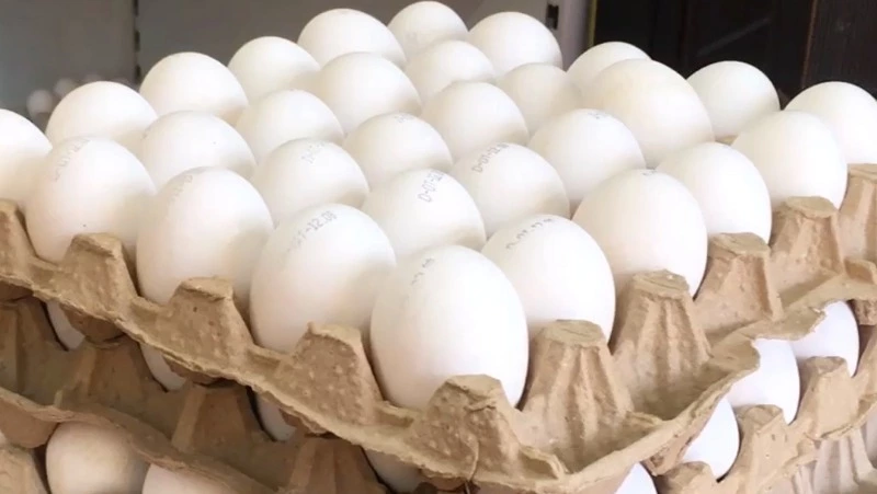 Автолавка птицефабрики «Островная» заедет в отдаленные районы Южно-Сахалинска 