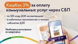 Более 130 миллионов рублей кешбэка получили клиенты ПАО «ДЭК»
