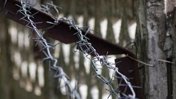 Молодой поронаец отправится в колонию за кражу денег с карты друга