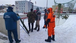 Специалисты проверили зимующую утку на Рогатке в Южно-Сахалинске