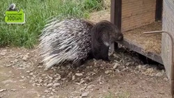 Первое «метро» на Дальнем Востоке появится в Южно-Сахалинске