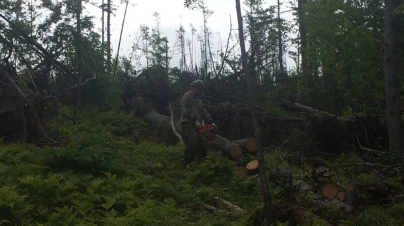 Склоны и трассы «Горного воздуха» очищают от поваленных деревьев