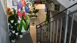 Образцовый энтузиазм: два примера того, как обычный подъезд можно превратить в уютное местечко