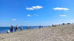 Синоптики Гидрометцентра представили прогноз на лето 2026 года для Сахалина