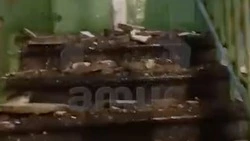 Бастрыкин потребовал доклад о рухнувшем из-за дождя потолке в Холмске