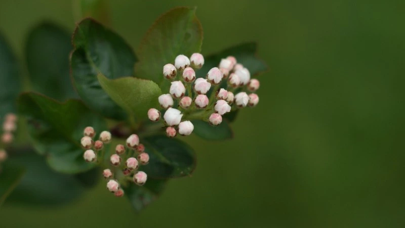 Народные приметы на 29 мая 2024 года: что можно и нельзя делать в этот день