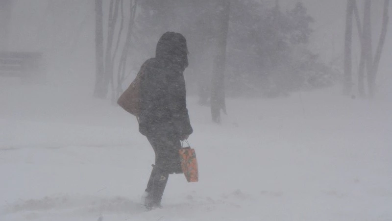 Мощный циклон обрушится на Сахалин