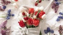 Тюльпаны, которые простоят до мая: секретный чек-лист для 8 марта