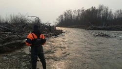 Поиски пропавших в Углегорском и Ногликском районах не увенчались успехом