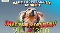 В Южно-Сахалинске состоится благотворительный концерт для поддержки пушистых хвостиков