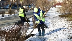 Триста тысяч цветов украсят улицы Южно-Сахалинска к майским праздникам