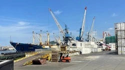 Свыше 6 тонн рыбы и морепродуктов экспортировали из Приморья и Сахалинской области за неделю