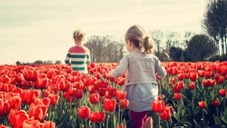 Депутаты утвердили новые полномочия ПФР по выплате пособий на Сахалине