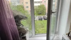 Одного из выпавших из окна детей уже оставляли без присмотра. Опека не среагировала