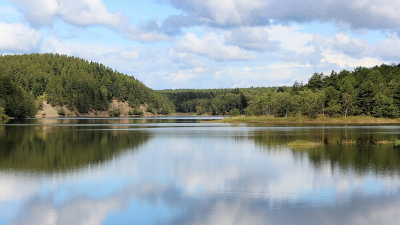 Главное водохранилище Корсакова ждет реконструкции
