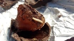 Сахалинка купила на рынке конфеты, а дома увидела, как оттуда вылупились черви