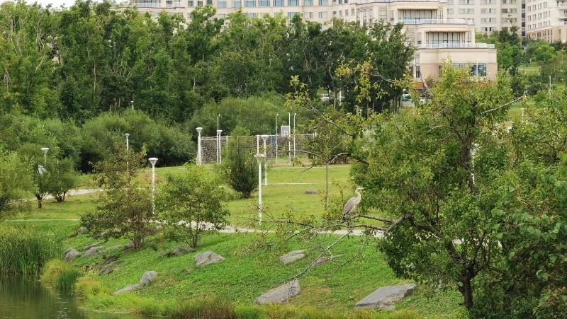 Цапля провела ночь рядом с павильоном Сахалинской области на ВЭФ-2022