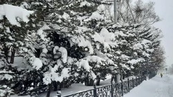 Снег и ветер спрогнозировали синоптики в Сахалинской области 21 февраля 