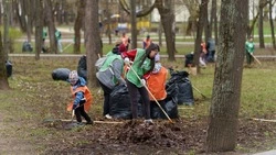 Сахалинцам рассказали о проведении экологической акции «Зеленая Весна»
